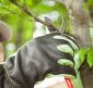 Your Ultimate Guide to Pruning: What You Need to Know